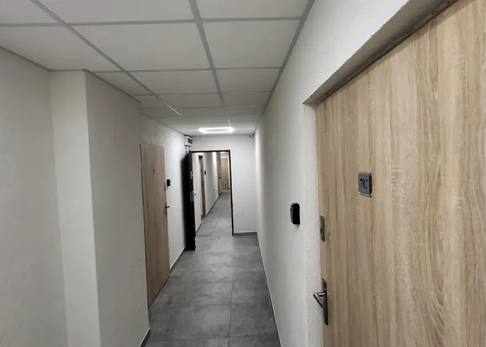 - Ii غليفيتسه